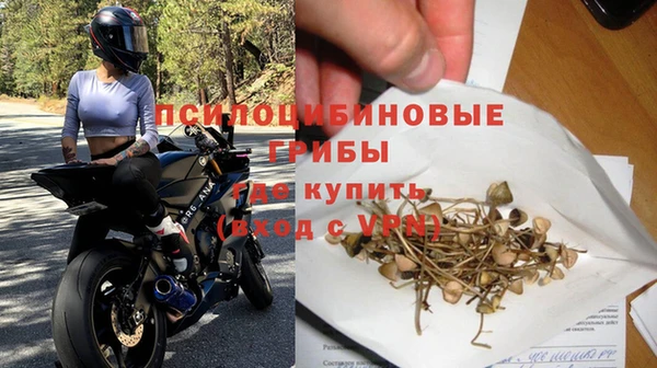 крисы Лабытнанги