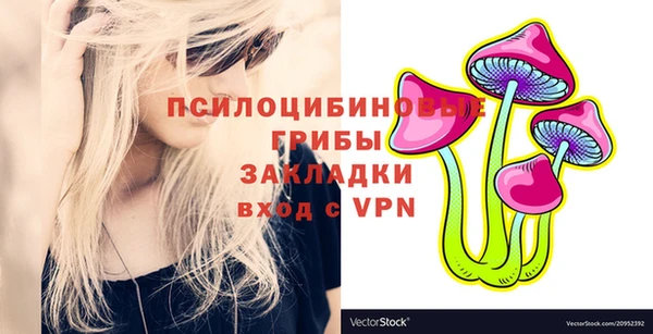 не бодяженный Ладушкин