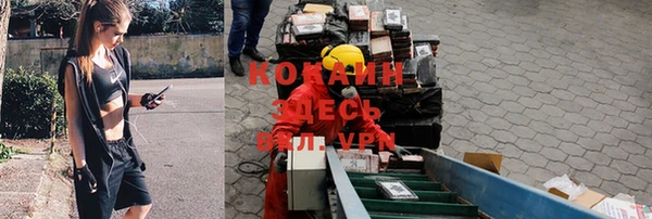 не бодяженный Ладушкин