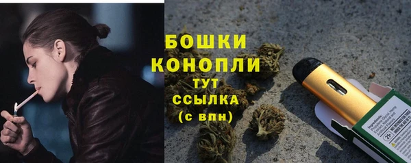 крисы Лабытнанги